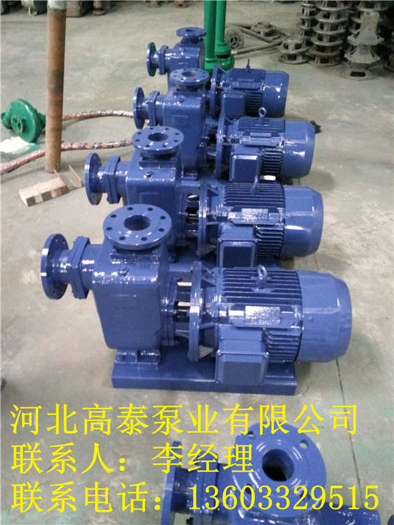 80ZX43-17臥式自吸泵