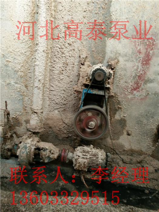 紙漿泵廠家150LXL-Z-30紙漿泵參數(shù)