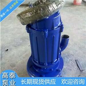 高品質(zhì)65WQ25-28-24無堵塞潛水排污泵配件…齊全